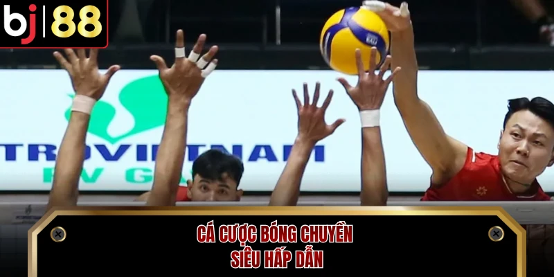 Cá cược bóng chuyền siêu hấp dẫn