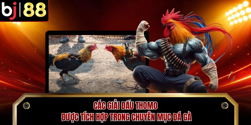 Các giải đấu Thomo được tích hợp trong chuyên mục đá gà