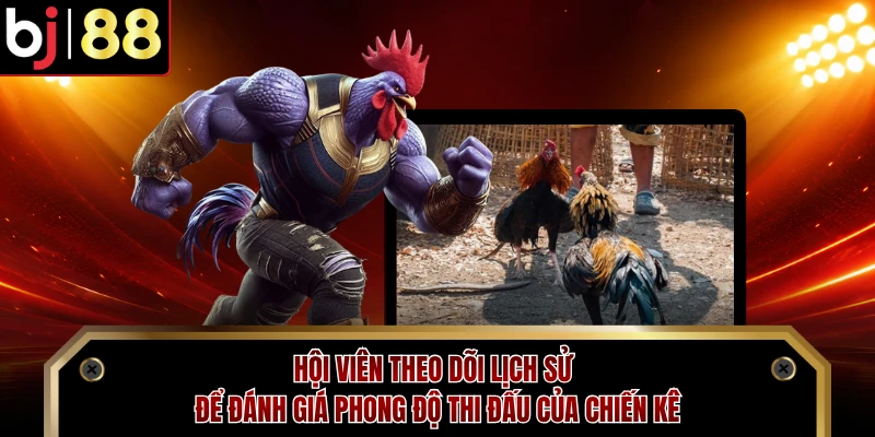 Hội viên theo dõi lịch sử để đánh giá phong độ thi đấu của chiến kê