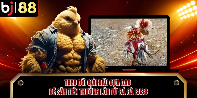 Theo dõi giải đấu cựa dao để săn tiền thưởng lớn từ đá gà BJ88